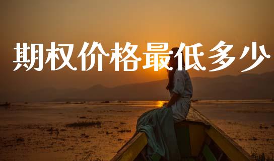 期权价格最低多少_https://wap.letulww.com_外汇交易_第1张