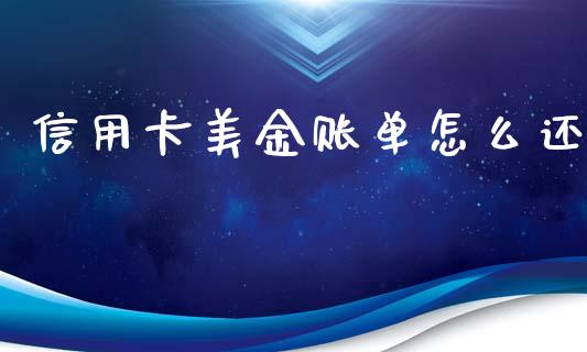 信用卡美金账单怎么还_https://wap.letulww.com_融资租赁_第1张