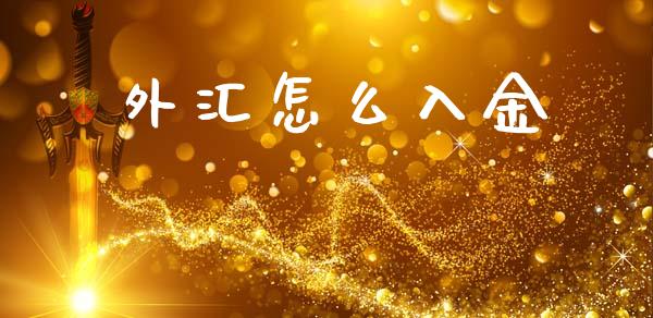 外汇怎么入金_https://wap.letulww.com_投资管理_第1张