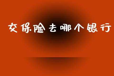 交保险去哪个银行_https://wap.letulww.com_投资管理_第1张