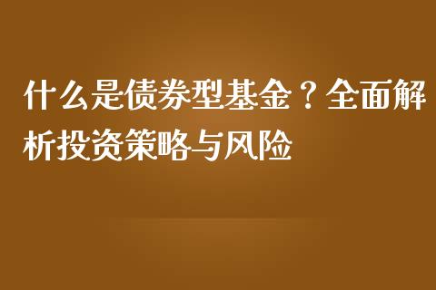 什么是债券型基金？全面解析投资策略与风险_https://wap.letulww.com_投资策略_第1张