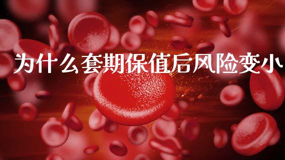 为什么套期保值后风险变小_https://wap.letulww.com_外汇交易_第1张