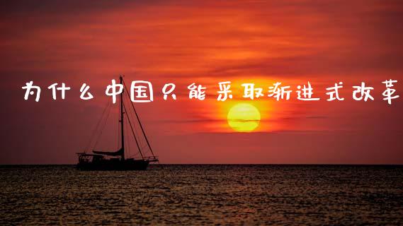 为什么中国只能采取渐进式改革_https://wap.letulww.com_投资管理_第1张