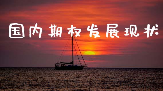 国内期权发展现状_https://wap.letulww.com_融资租赁_第1张