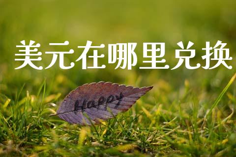 美元在哪里兑换_https://wap.letulww.com_外汇交易_第1张