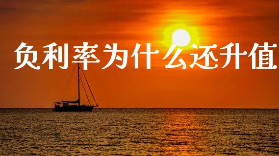 负利率为什么还升值_https://wap.letulww.com_外汇交易_第1张