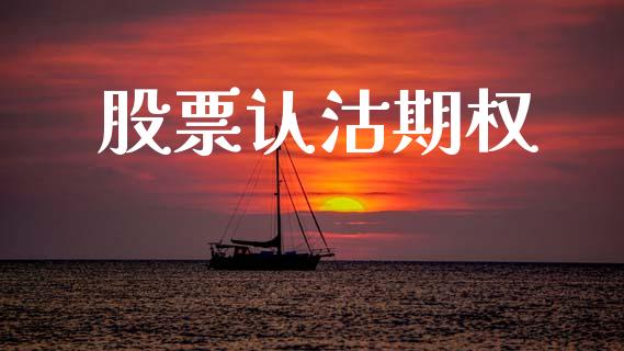 股票认沽期权_https://wap.letulww.com_外汇交易_第1张