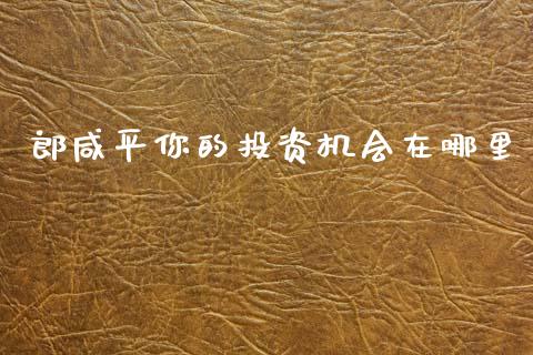 郎咸平你的投资机会在哪里_https://wap.letulww.com_外汇交易_第1张
