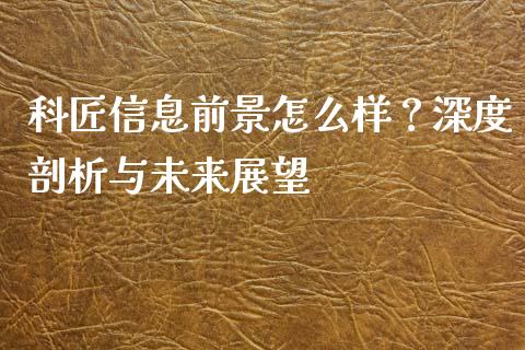 科匠信息前景怎么样？深度剖析与未来展望_https://wap.letulww.com_投资策略_第1张