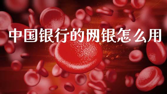 中国银行的网银怎么用_https://wap.letulww.com_投资管理_第1张
