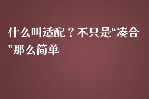 什么叫适配？不只是“凑合”那么简单_https://wap.letulww.com_融资租赁_第1张