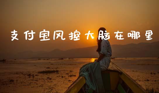 支付宝风控大脑在哪里_https://wap.letulww.com_外汇交易_第1张