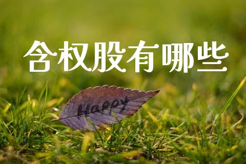 含权股有哪些_https://wap.letulww.com_投资管理_第1张