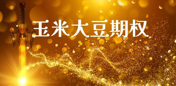 玉米大豆期权_https://wap.letulww.com_融资租赁_第1张