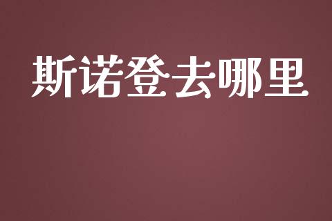 斯诺登去哪里_https://wap.letulww.com_投资策略_第1张