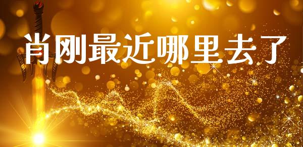 肖刚最近哪里去了_https://wap.letulww.com_投资策略_第1张