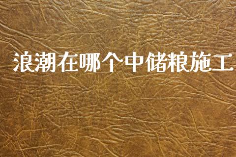 浪潮在哪个中储粮施工_https://wap.letulww.com_外汇交易_第1张