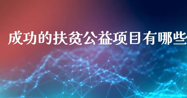 成功的扶贫公益项目有哪些_https://wap.letulww.com_投资策略_第1张