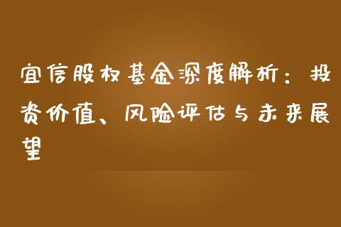 宜信股权基金深度解析：投资价值、风险评估与未来展望_https://wap.letulww.com_投资管理_第1张