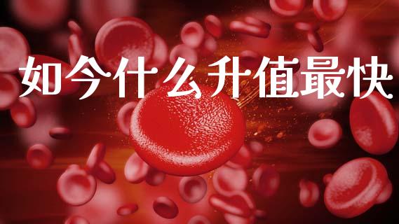 如今什么升值最快_https://wap.letulww.com_融资租赁_第1张