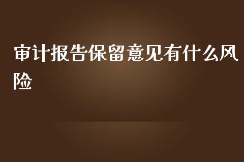 审计报告保留意见有什么风险_https://wap.letulww.com_融资租赁_第1张