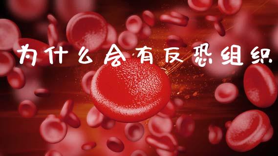 为什么会有反恐组织_https://wap.letulww.com_融资租赁_第1张