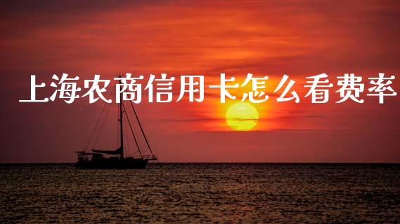 上海农商信用卡怎么看费率_https://wap.letulww.com_投资管理_第1张
