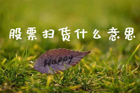 股票扫货什么意思_https://wap.letulww.com_外汇交易_第1张