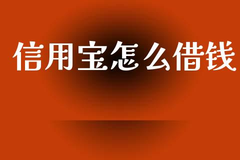 信用宝怎么借钱_https://wap.letulww.com_投资管理_第1张