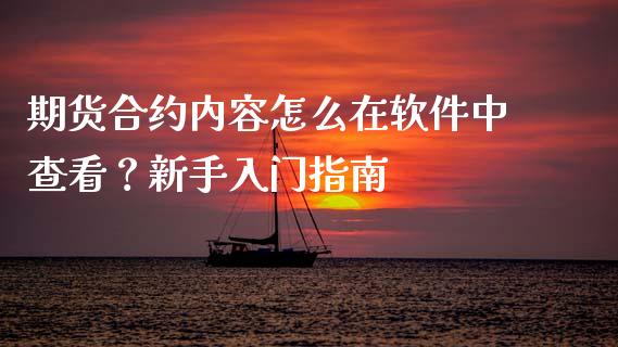 期货合约内容怎么在软件中查看？新手入门指南_https://wap.letulww.com_投资管理_第1张