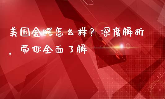 美国金鳄怎么样？深度解析，带你全面了解_https://wap.letulww.com_外汇交易_第1张