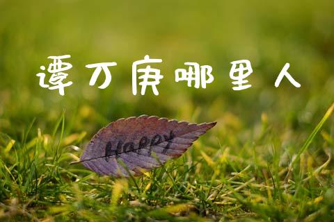 谭万庚哪里人_https://wap.letulww.com_外汇交易_第1张