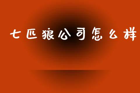 七匹狼公司怎么样_https://wap.letulww.com_投资管理_第1张