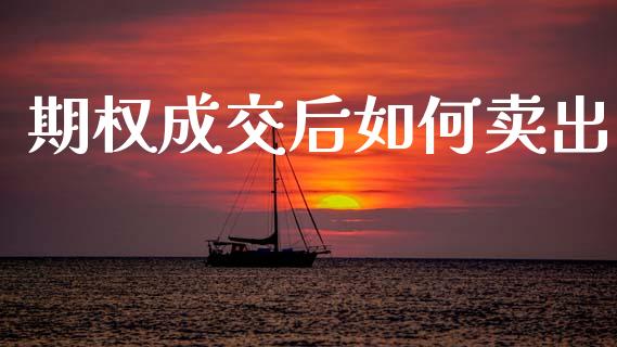 期权成交后如何卖出_https://wap.letulww.com_投资策略_第1张