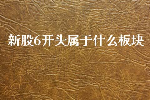 新股6开头属于什么板块_https://wap.letulww.com_投资策略_第1张