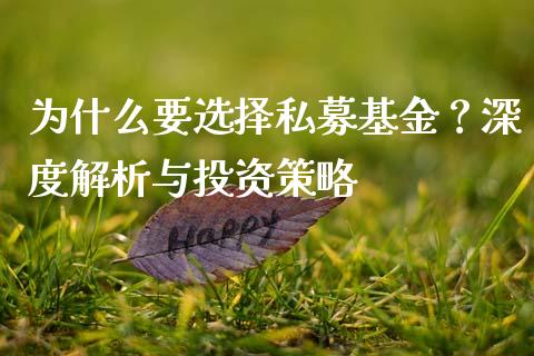 为什么要选择私募基金？深度解析与投资策略_https://wap.letulww.com_外汇交易_第1张