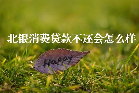 北银消费贷款不还会怎么样_https://wap.letulww.com_外汇交易_第1张