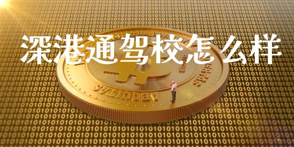 深港通驾校怎么样_https://wap.letulww.com_外汇交易_第1张