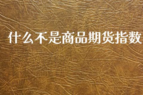什么不是商品期货指数_https://wap.letulww.com_投资策略_第1张