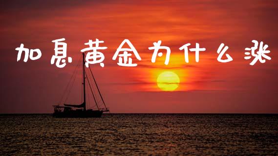 加息黄金为什么涨_https://wap.letulww.com_融资租赁_第1张
