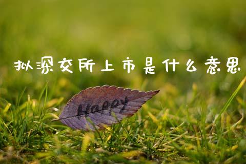 拟深交所上市是什么意思_https://wap.letulww.com_外汇交易_第1张