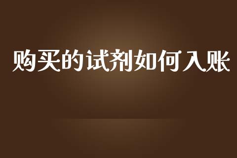 购买的试剂如何入账_https://wap.letulww.com_外汇交易_第1张