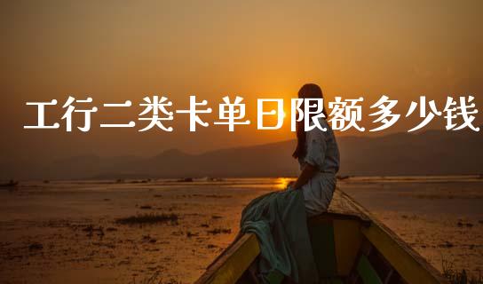 工行二类卡单日限额多少钱_https://wap.letulww.com_融资租赁_第1张