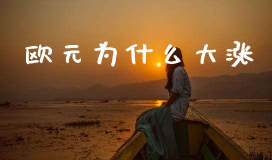 欧元为什么大涨_https://wap.letulww.com_外汇交易_第1张