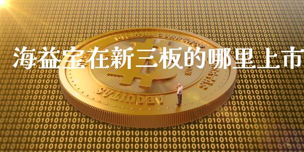 海益宝在新三板的哪里上市_https://wap.letulww.com_投资策略_第1张