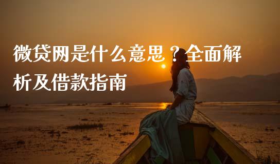 微贷网是什么意思？全面解析及借款指南_https://wap.letulww.com_投资策略_第1张