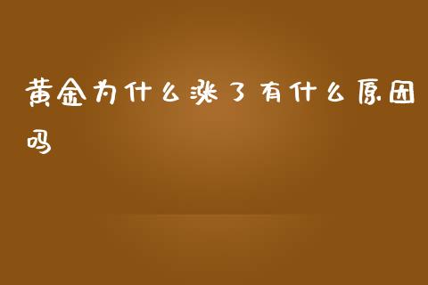 黄金为什么涨了有什么原因吗_https://wap.letulww.com_投资策略_第1张