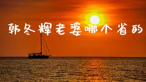 韩冬辉老婆哪个省的_https://wap.letulww.com_融资租赁_第1张