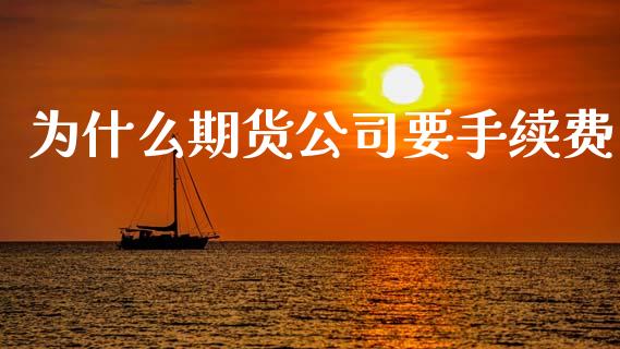 为什么期货公司要手续费_https://wap.letulww.com_融资租赁_第1张