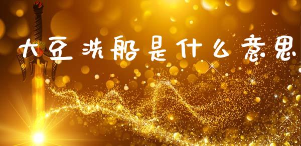 大豆洗船是什么意思_https://wap.letulww.com_融资租赁_第1张